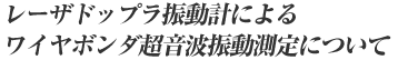 ���[�U�h�b�v���U���v�ɂ�郏�C���{���_�����g�U������ɂ���