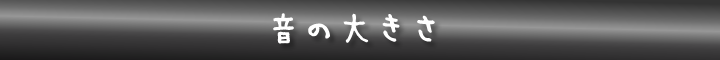 ���̑傫��