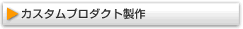 �J�X�^���v���_�N�g����