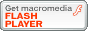 �����N�iFLASHPLAYER�j