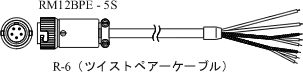�C���X�g�iRP-006�M���P�[�u���j