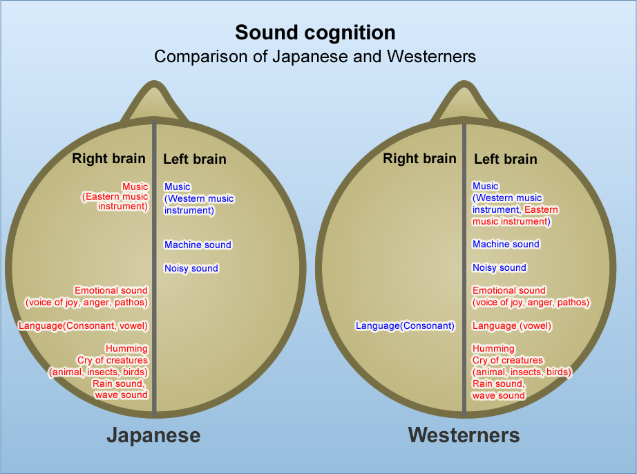 MUSIQUE, SONS de la NATURE et SOCIÉTÉ, présentation et développements Soundbrain1