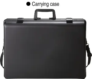 Carrtubg case