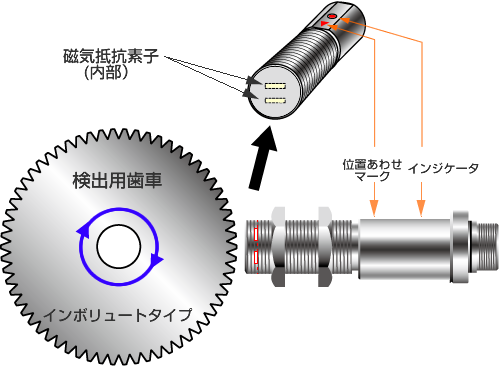 MP-981構造