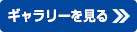 フォトギャラリーを見る