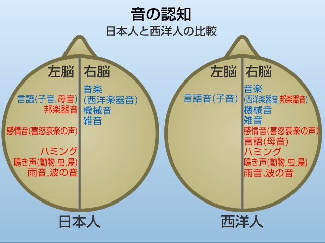 身近な計測 音と脳