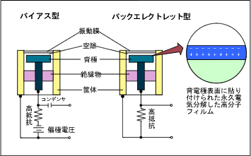 イラスト（動作原理＝マイクロホン内部構造）