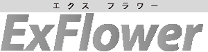 layout styles